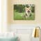 Basics Black Frame by Studio Décor®